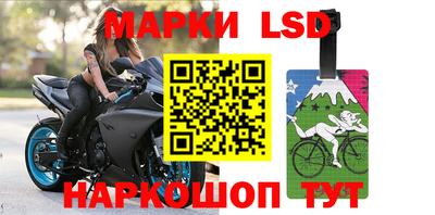 apvp Славгород