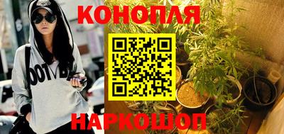 молекула духа Славянск-на-Кубани