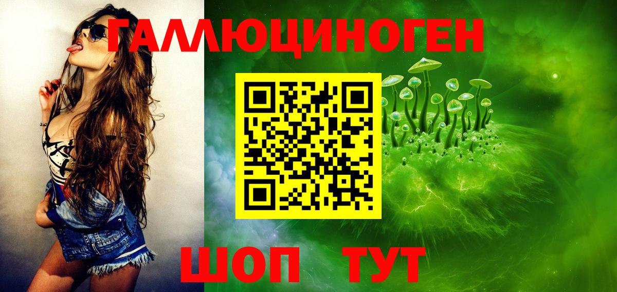 Павловский Посад  Псилоцибиновые грибы GOLDEN TEACHER  Вход с VPN 